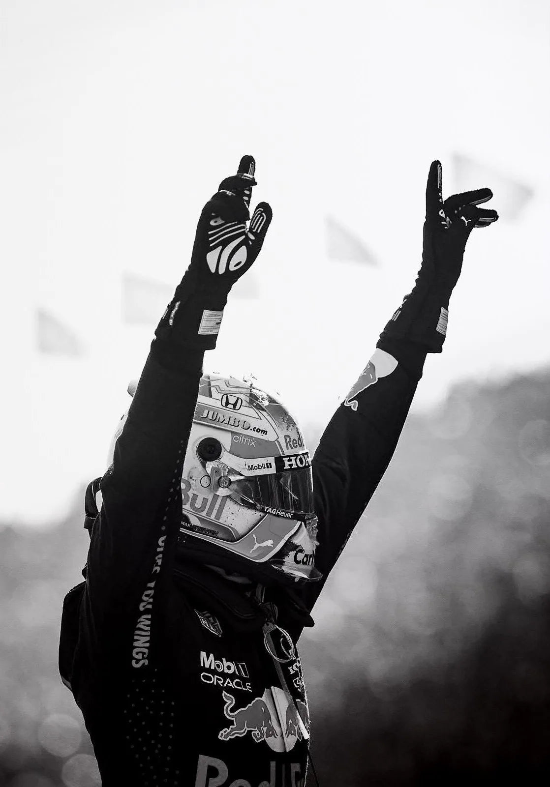 Max Verstappen F1 Racerposter